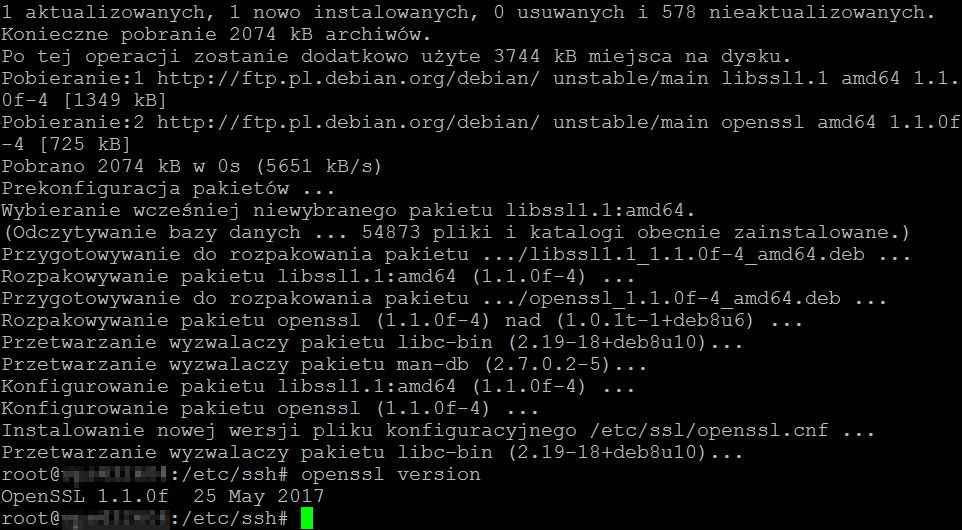 Debian - OpenSSL - version check