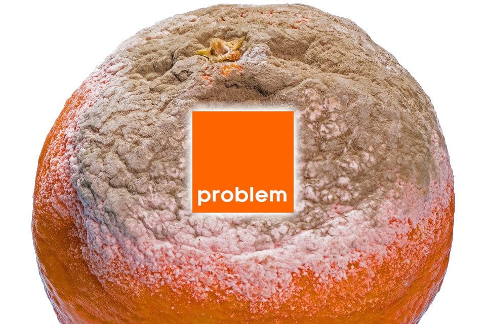 Orange przeprasza, ale błędu naprawić nie chce